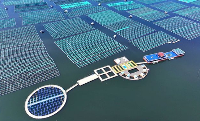 沉浸式寻鲜！探访桑沟湾海洋牧场，共绘“蓝色牧歌”