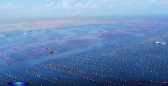 我市3个项目斩获省海洋科技创新奖