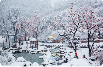 冬游威海 情满山海|雪已至,威海三条绝美赏雪路线等你来!
