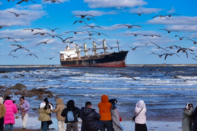 威海缘何六度蝉联“最具幸福感城市”？