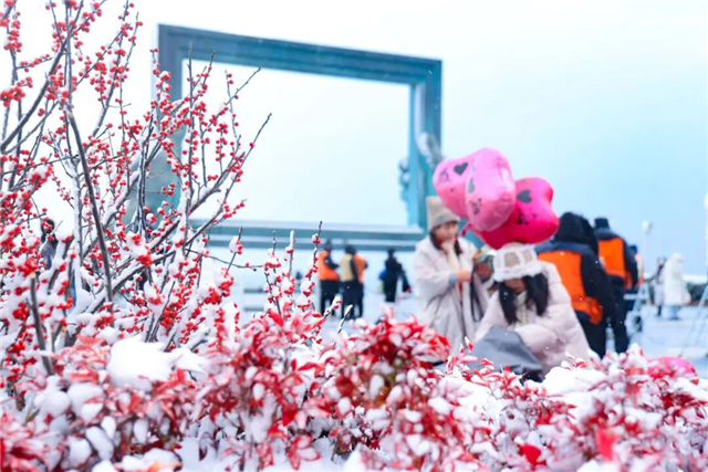 冬游威海 情满山海丨雪韵威海，如诗如画！