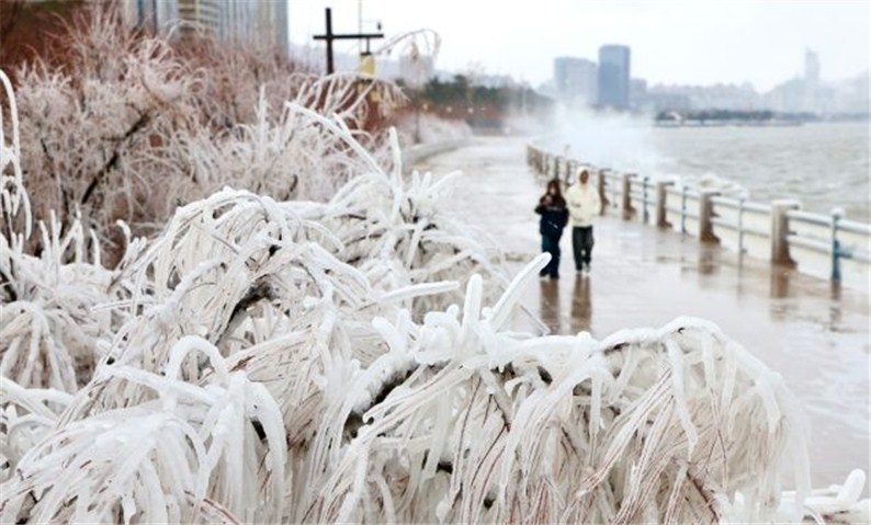 冬游威海 情满山海丨威海上演现实版“冰河世纪”