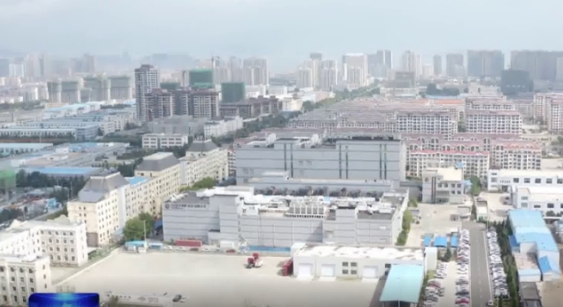 “走在前 挑大梁·新春走基层”|为“出海”企业发展添翼