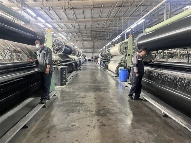 马力全开！环翠企业奋战“开门红”