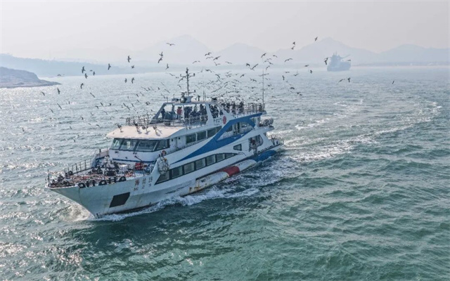 海驴岛环岛游开航!