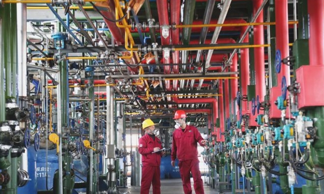 小小助剂撬动数亿大产业，临港这家企业藏着“隐形冠军”密码丨大抓经济 大抓基层 大抓落实