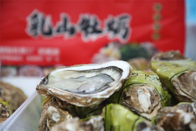 “蛎”经山海，鲜启盛宴！乳山美食季正式启幕
