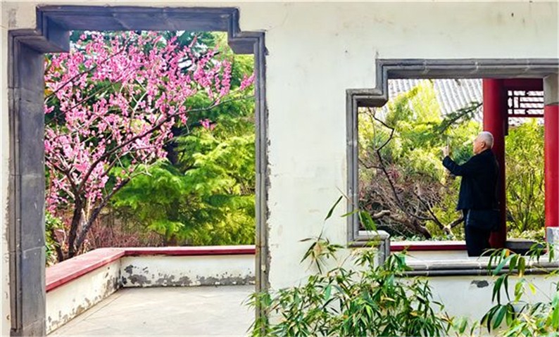 览山海繁花，品地道鲜味！威海“赏花+美食”双地图上线