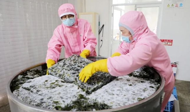 牵手山姆、入驻胖东来、直供海底捞……威海海带面“挑”动全球“美食圈”