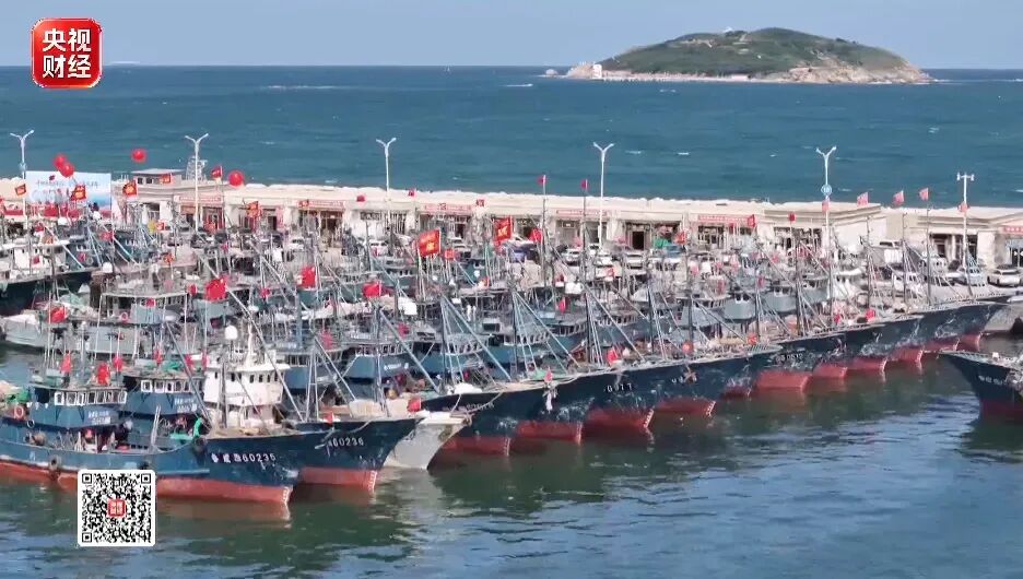 央视《经济半小时》专题报道威海：丰收时节赶大集