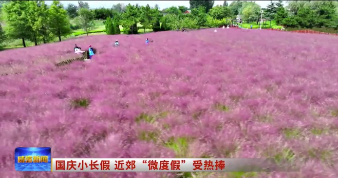 国庆小长假 近郊“微度假”受热捧