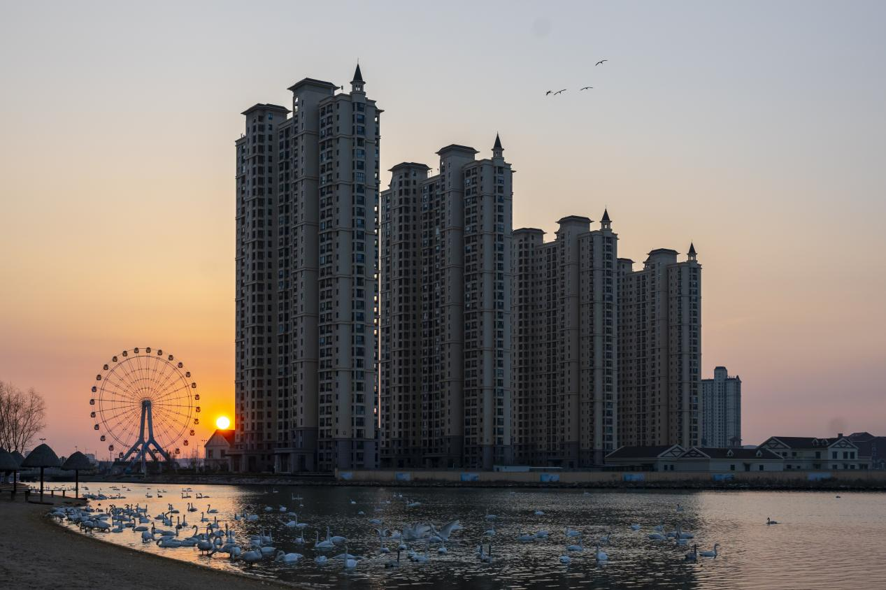 镜像寻美!摄影大咖聚焦那香海“天鹅湖”