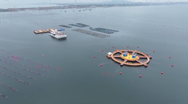 把实验室“搬”进大海 | 国内规模最大近海生态系统野外受控试验平台在山东荣成下水投用