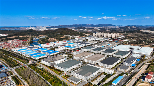 做实“链长制”，激活“链核力”！威海高区聚力打造高效协同产业生态