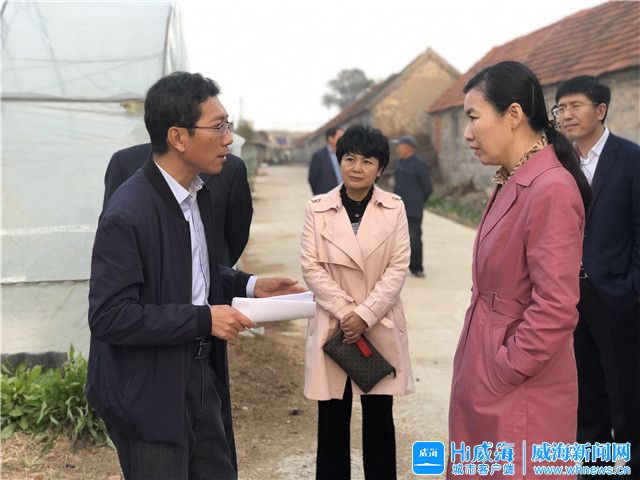张宏伟调研精准扶贫及精致农家创建等工作_威海要闻_威海_齐鲁网