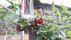 https://hi.hiweihai.net/uploadfile/2023/0513/20230513082247858.gif