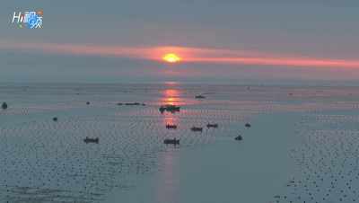 https://hi.hiweihai.net/uploadfile/2023/0512/20230512063530688.gif