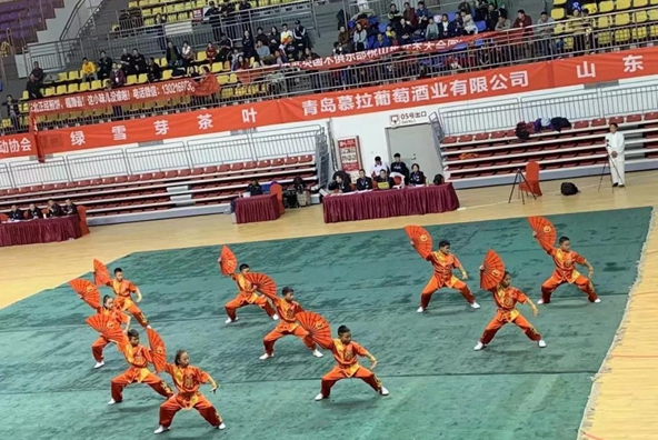 第五届山东省武术大会威海代表团获佳绩