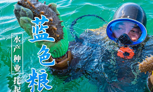 海报 | 向海图强，威海挺进深蓝