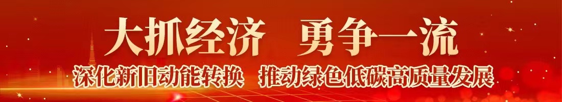 瞄准世界500强，引先进德企“落地生根”