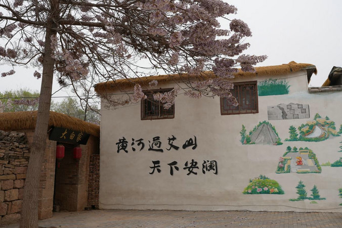 东阿4.jpg