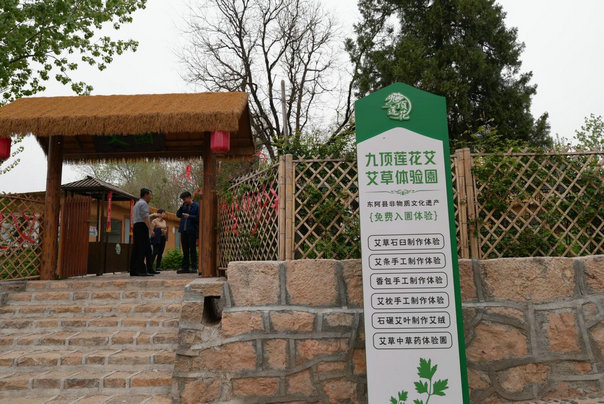 东阿5.jpg