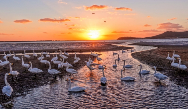威海多家A级景区联动推出冬游威海系列优惠