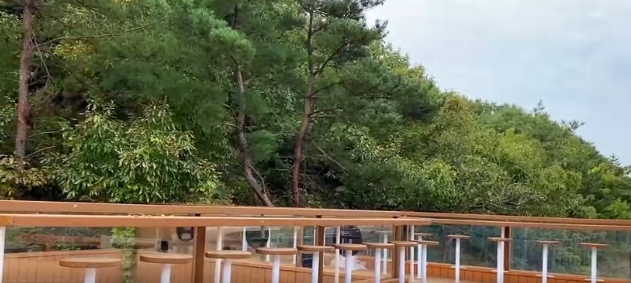 精致威海 乐哉康养丨赏绿水青山之美 享森林康养之乐