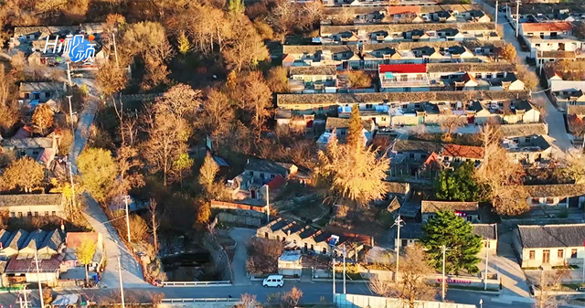 文登六度寺图片