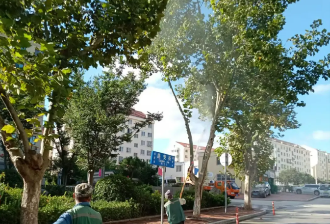 威海这些路段近期将进行打药作业！请市民注意避让