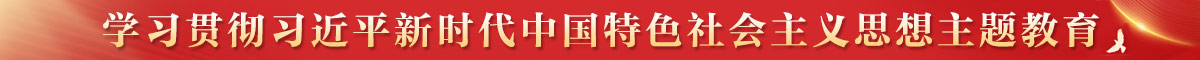 学习贯彻习近平新时代中国特色社会主义思想主题教育